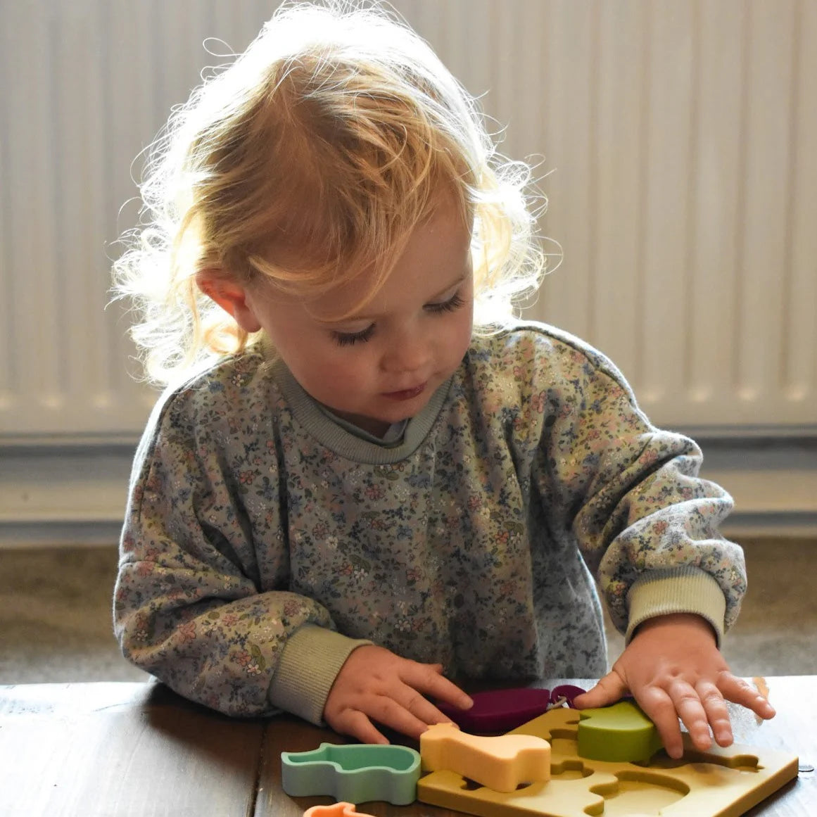 Silicone Animal Shape Sorter