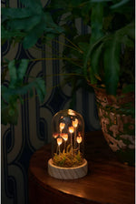 Load image into Gallery viewer, Flora Wonderland Table Light
