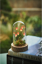Load image into Gallery viewer, Flora Wonderland Table Light
