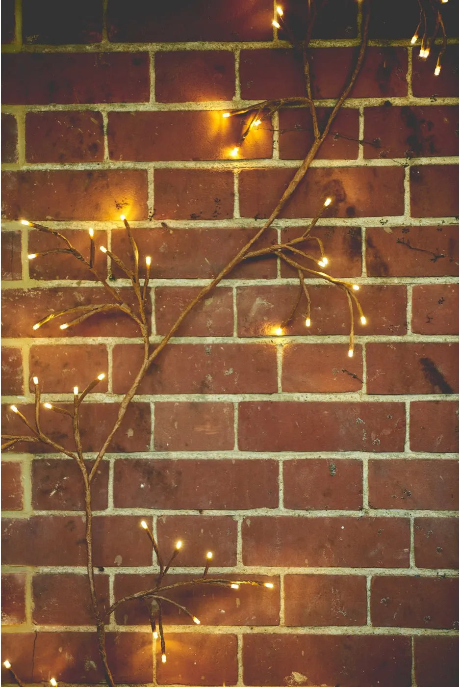 Ivy Solar Light