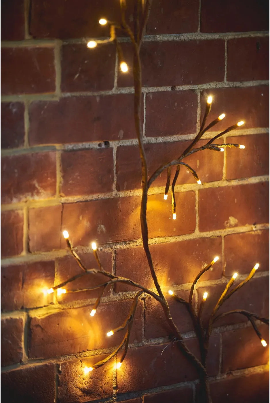 Ivy Solar Light