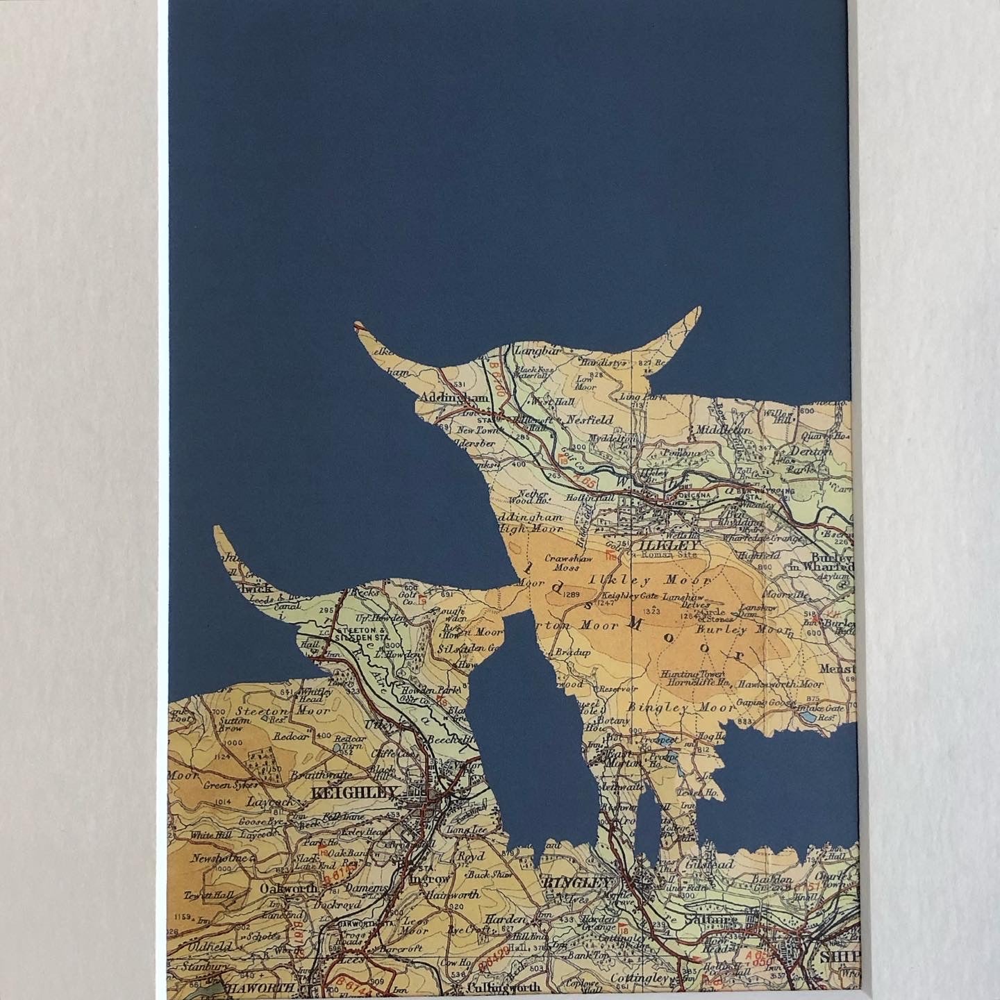 Ilkley Cattle Print