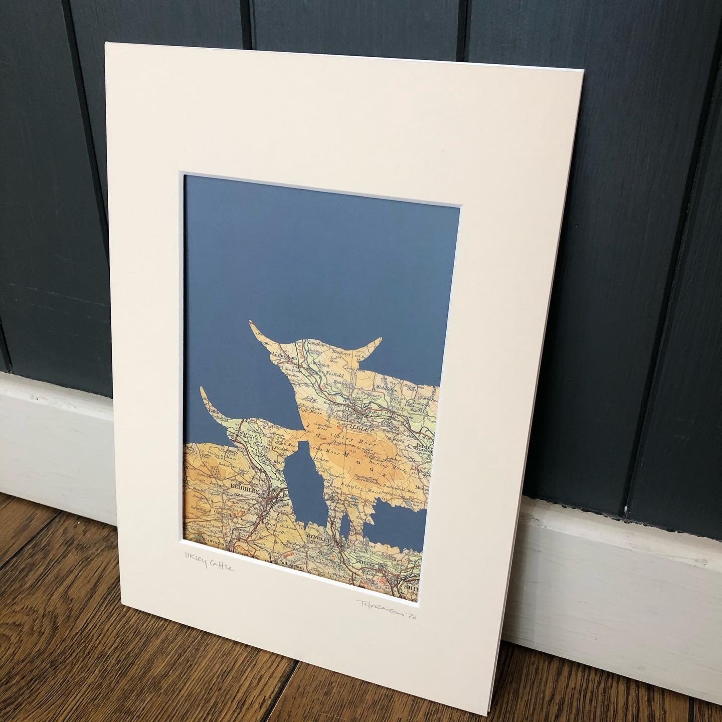 Ilkley Cattle Print