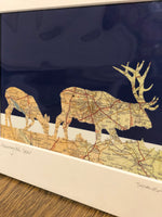 Load image into Gallery viewer, Framed Harrogate Deer Picture
