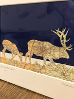 Load image into Gallery viewer, Framed Harrogate Deer Picture
