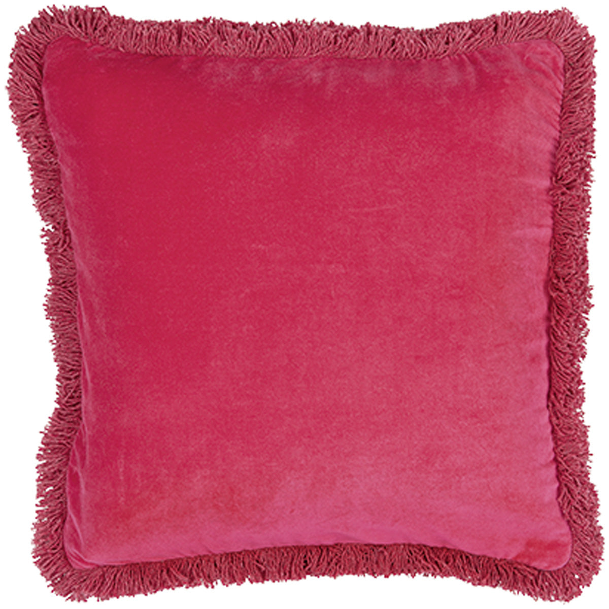 Velvet Fringe Cushion