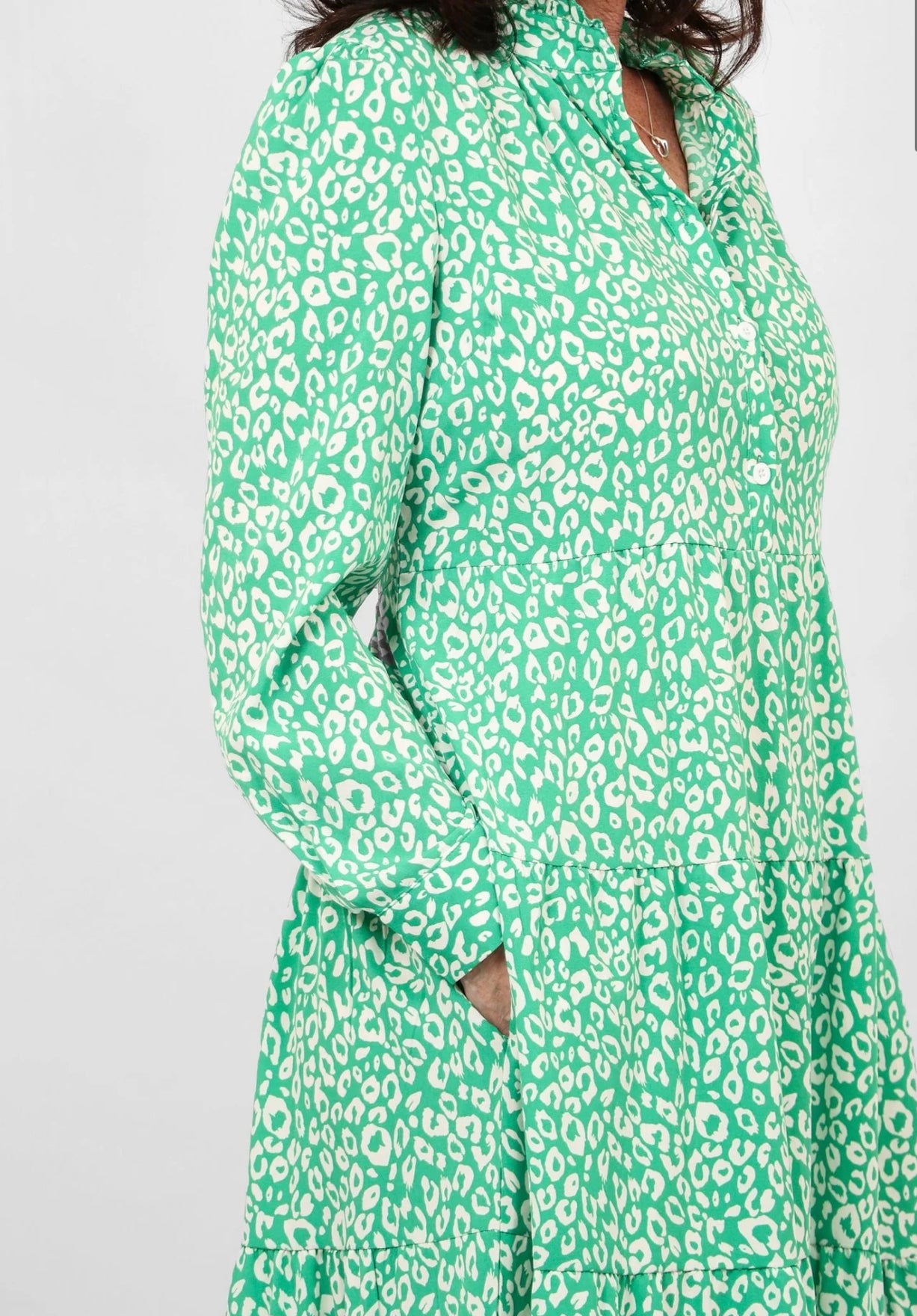 Leopard Collared Dress