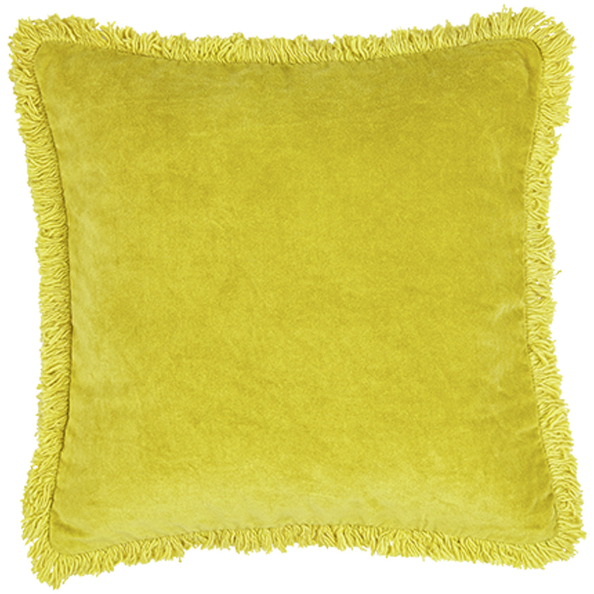 Velvet Fringe Cushion