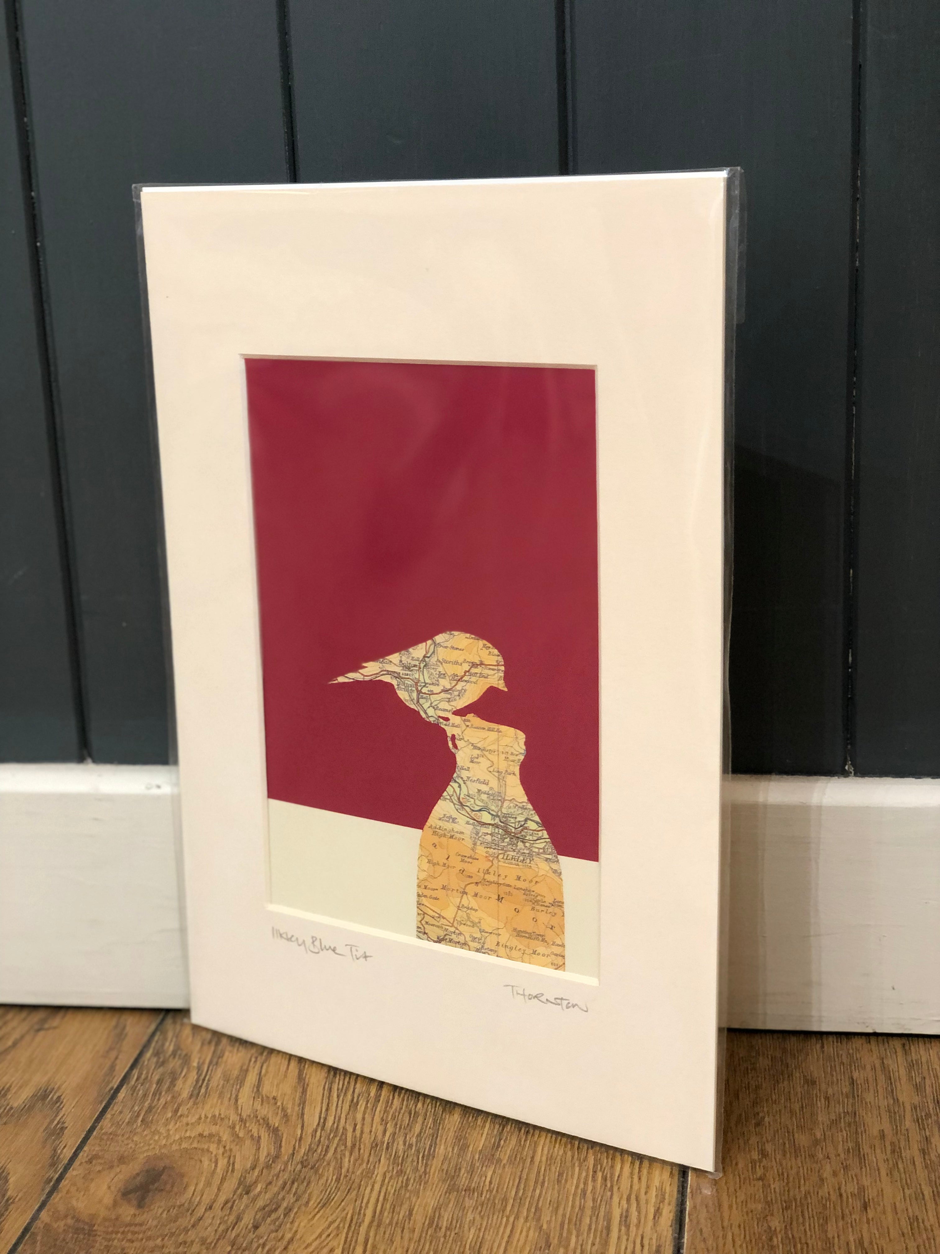 Ilkley Blue Tit Print