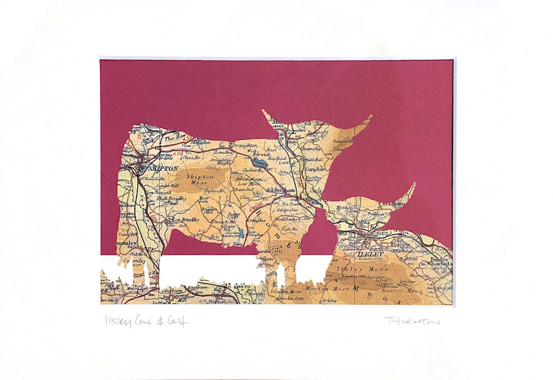 Ilkley Cow & Calf Print